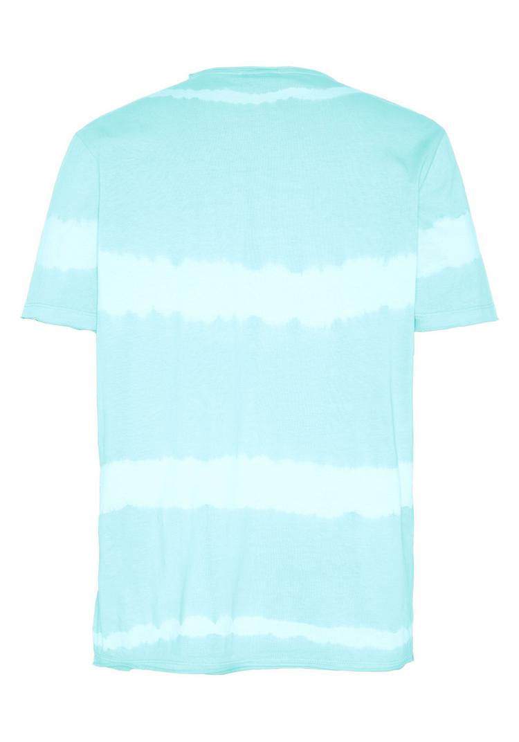 Chiemsee Chiemsee T-Shirt T-Shirt Herren - 13-4307 Tropical Breeze - 0 | SportScheck