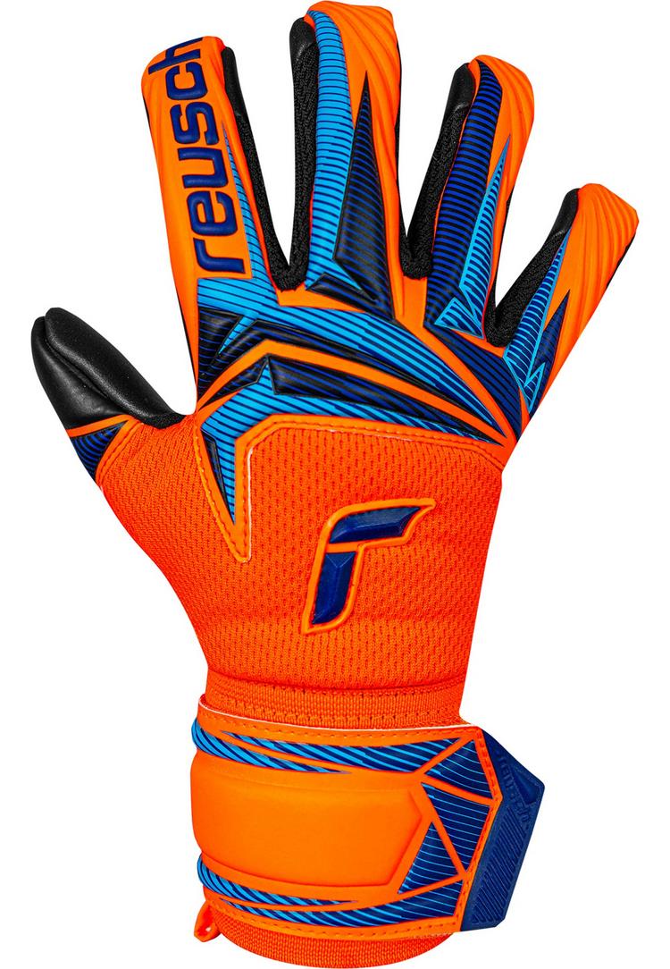 Reusch Reusch Attrakt Infinity Evolution NC Junior Torwarthandschuhe - 2289 shock orang / blue / blac - 0 | SportScheck