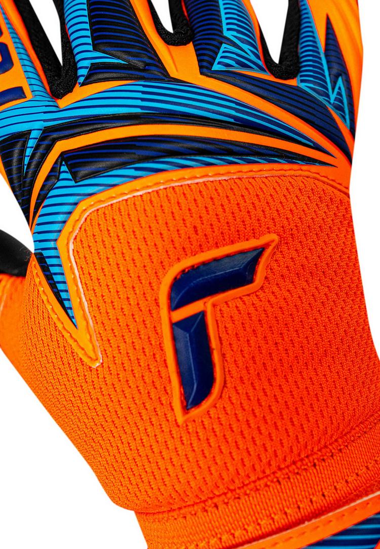 Reusch Reusch Attrakt Infinity Evolution NC Junior Torwarthandschuhe - 2289 shock orang / blue / blac - 6 | SportScheck
