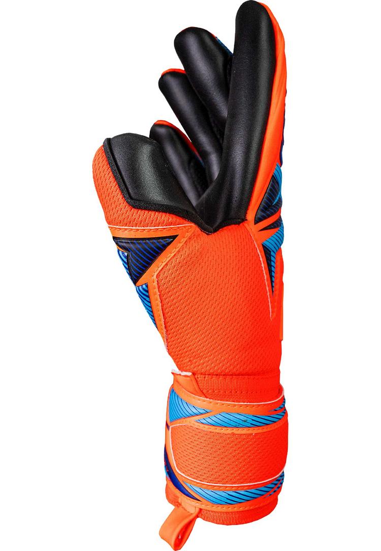 Reusch Reusch Attrakt Infinity Evolution NC Torwarthandschuhe - 2289 shock orang / blue / blac - 1 | SportScheck