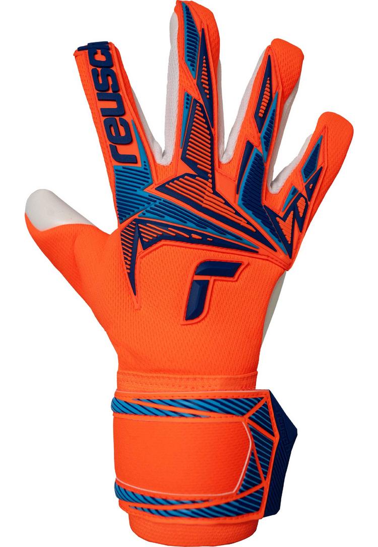 Reusch Reusch Attrakt Freegel Advance Torwarthandschuhe - 2290 shocking orange/blue - 0 | SportScheck