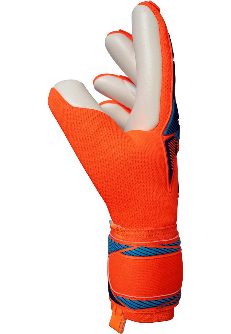 Reusch Reusch Attrakt Freegel Advance Torwarthandschuhe - 2290 shocking orange/blue - 1 | SportScheck