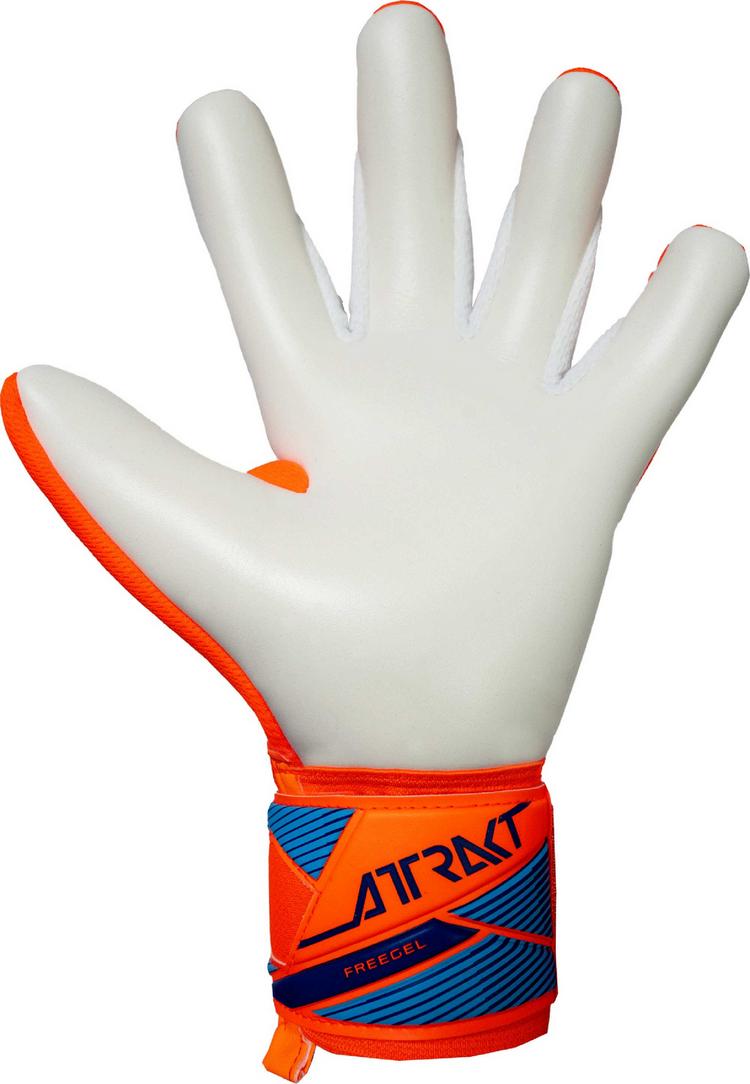 Reusch Reusch Attrakt Freegel Advance Torwarthandschuhe - 2290 shocking orange/blue - 2 | SportScheck