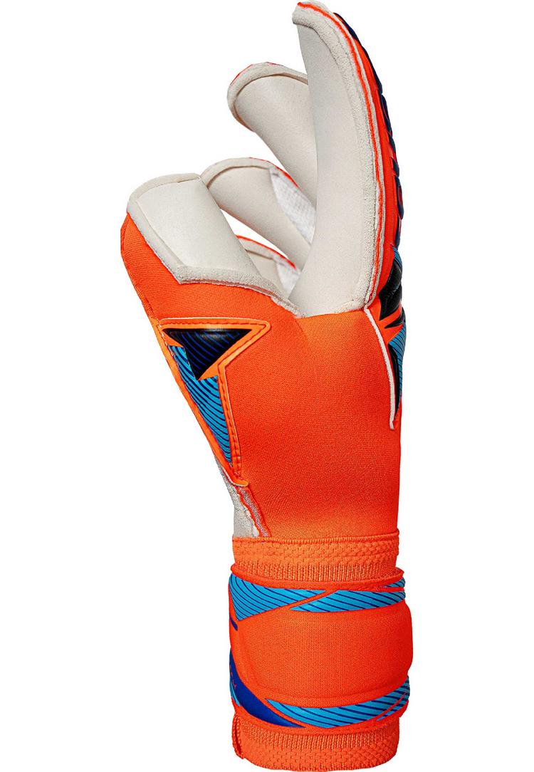 Reusch Reusch Attrakt Duo Evolution Torwarthandschuhe - 2290 shocking orange/blue - 1 | SportScheck