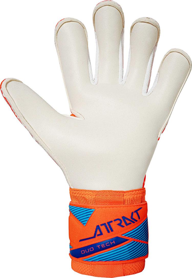 Reusch Reusch Attrakt Duo Evolution Torwarthandschuhe - 2290 shocking orange/blue - 2 | SportScheck