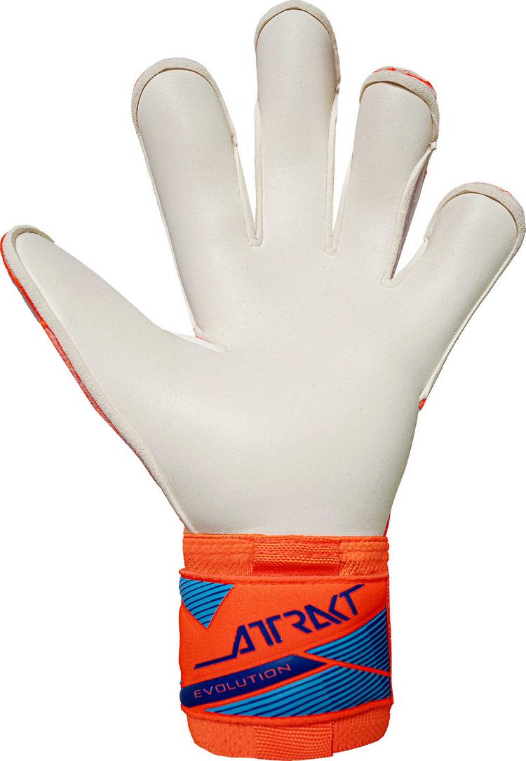 Reusch Reusch Attrakt Gold X Evolution Torwarthandschuhe - 2290 shocking orange/blue - 2 | SportScheck