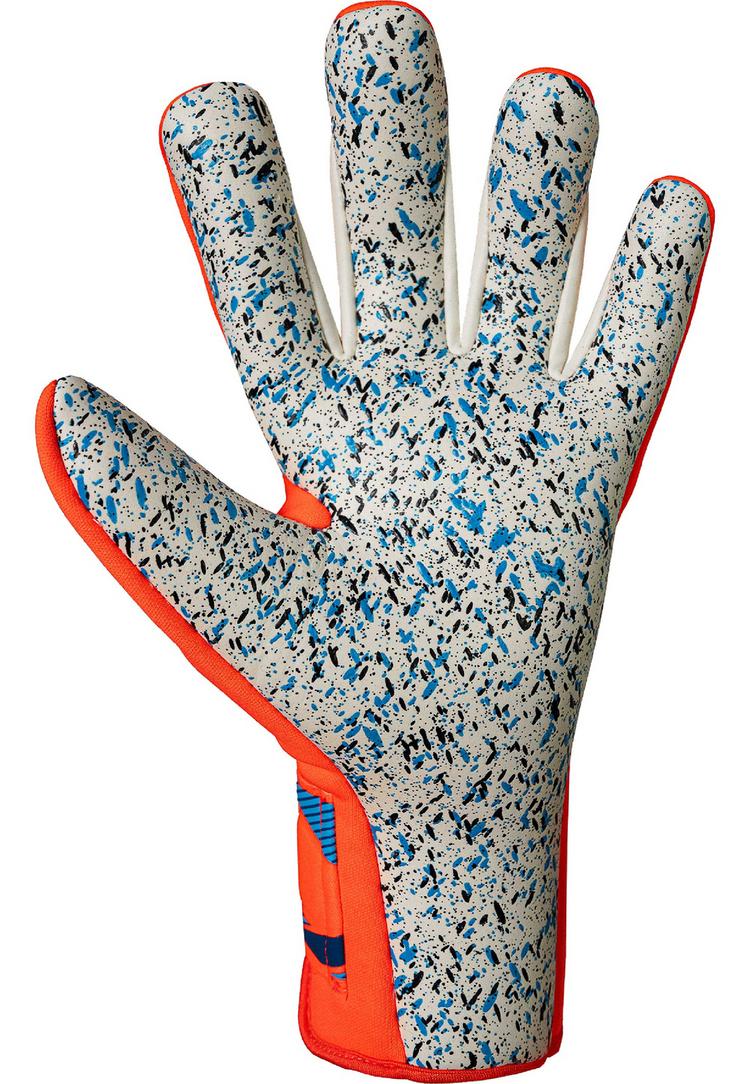 Reusch Reusch Attrakt Freegel Fusion Torwarthandschuhe - 2290 shocking orange/blue - 2 | SportScheck
