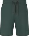 Virtus Patrick V3 Funktionsshorts Herren - 3278 Forest River