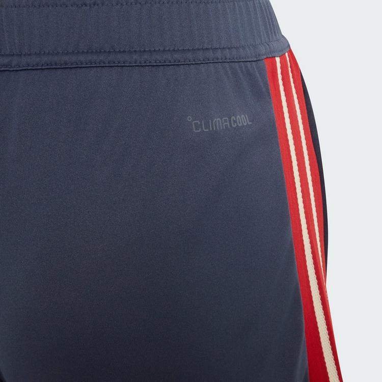 adidas adidas France Rugby Kids Gym-Shorts Funktionsshorts Kinder - Shadow Navy - 1 | SportScheck