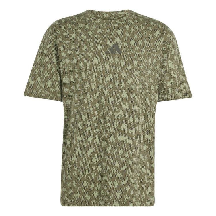 adidas adidas Terrex Xploric CLIMACOOL+ Trail T-Shirt Herren - Tent Green / Olive Strata - 0 | SportScheck