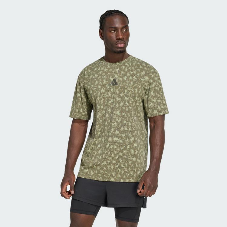 adidas adidas Terrex Xploric CLIMACOOL+ Trail T-Shirt Herren - Tent Green / Olive Strata - 0 | SportScheck