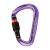 Mammut Classic HMS Screwgate Expressen - Screw Gate, purple