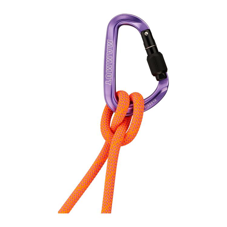 Mammut Mammut Classic HMS Screwgate Expressen - Screw Gate, purple - 0 | SportScheck
