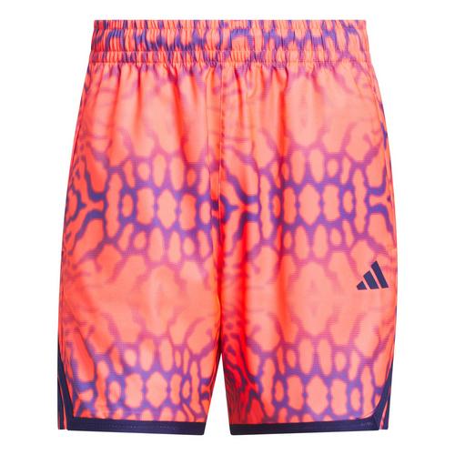 adidas CRAZYLITE GRAFIK SHORTS Funktionsshorts Herren