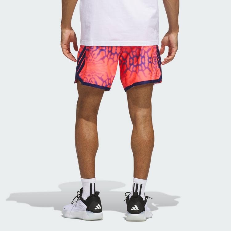 adidas adidas CRAZYLITE GRAFIK SHORTS Funktionsshorts Herren - Solar Turbo - 1 | SportScheck