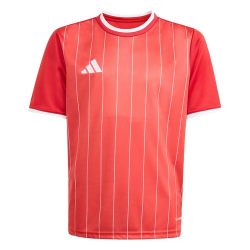 adidas Entrada 26 Kids Grafik Trikot T-Shirt Kinder