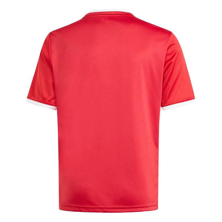 adidas adidas Entrada 26 Kids Grafik Trikot T-Shirt Kinder - Team Power Red 2 / White - 0 | SportScheck