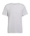 Falke Trekking Perform Better Tee T-Shirt Herren - white (2860)