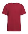 Falke Trekking Perform Better Tee T-Shirt Herren - ruby (8830)