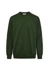 Cleptomanicx Ligull Sweatshirt Herren - Mountain View