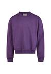 Cleptomanicx Boxy Crewneck Ligull Boxy Crop Longsweat Herren - Picasso Lily