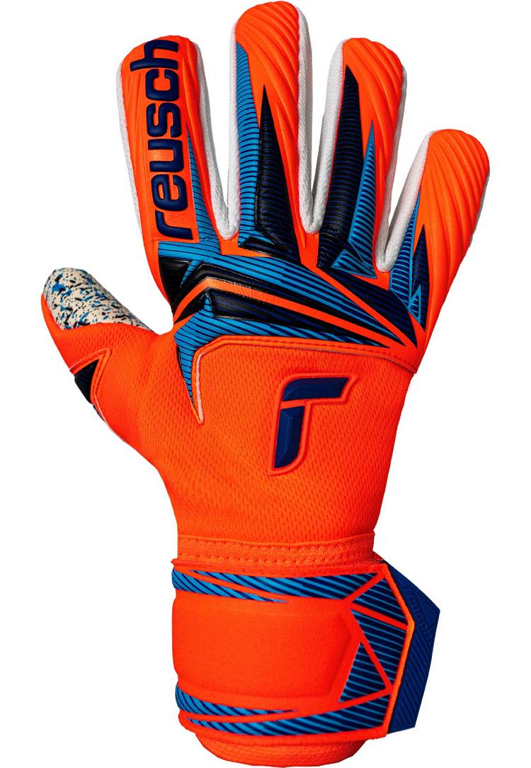 Reusch Reusch Attrakt Fusion NC Torwarthandschuhe - 2290 shocking orange/blue - 0 | SportScheck