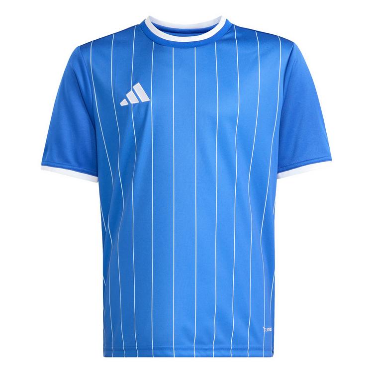 adidas adidas Entrada 26 Kids Grafik Trikot T-Shirt Kinder - Royal Blue / White - 0 | SportScheck