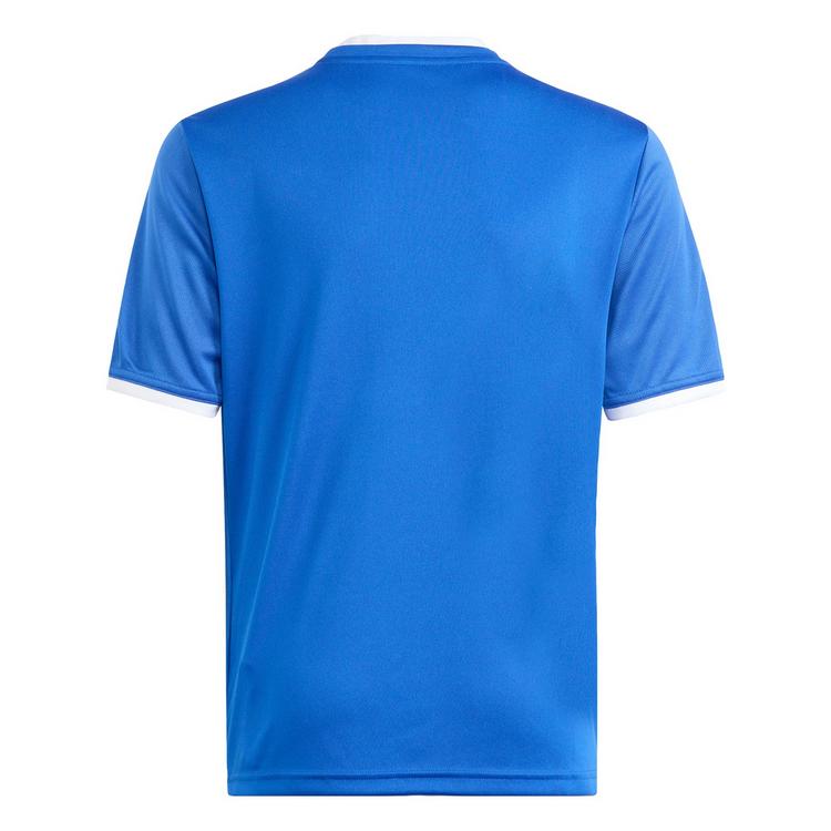 adidas adidas Entrada 26 Kids Grafik Trikot T-Shirt Kinder - Royal Blue / White - 0 | SportScheck