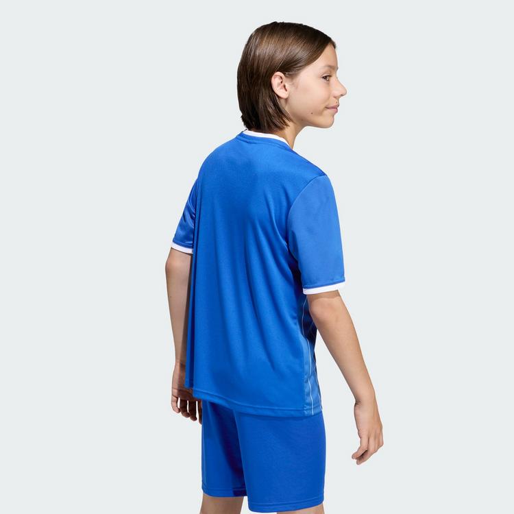 adidas adidas Entrada 26 Kids Grafik Trikot T-Shirt Kinder - Royal Blue / White - 1 | SportScheck