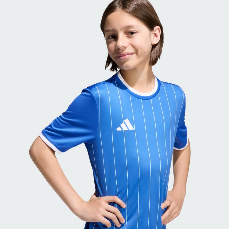 adidas adidas Entrada 26 Kids Grafik Trikot T-Shirt Kinder - Royal Blue / White - 1 | SportScheck
