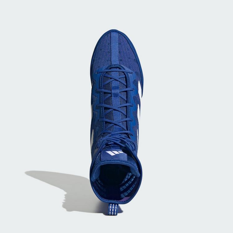 adidas adidas Box Hog 4 Boxschuh Boxschuhe - Royal Blue / Cloud White / Solar Purple - 1 | SportScheck