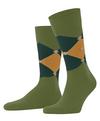Burlington Warm Clyde SO Socken Herren - cactus (7684)