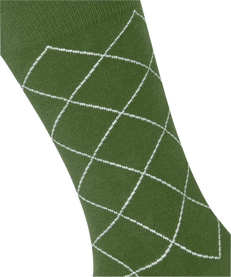 Burlington Burlington Nightglow Socken Herren - fir green (7656) - 1 | SportScheck