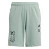 adidas ADIDAS MINECRAFT TRAININGSSHORTS Funktionsshorts Kinder - Silver Green