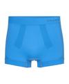 Falke Warm Series Funktionsunterhose Herren - blue note (6545)