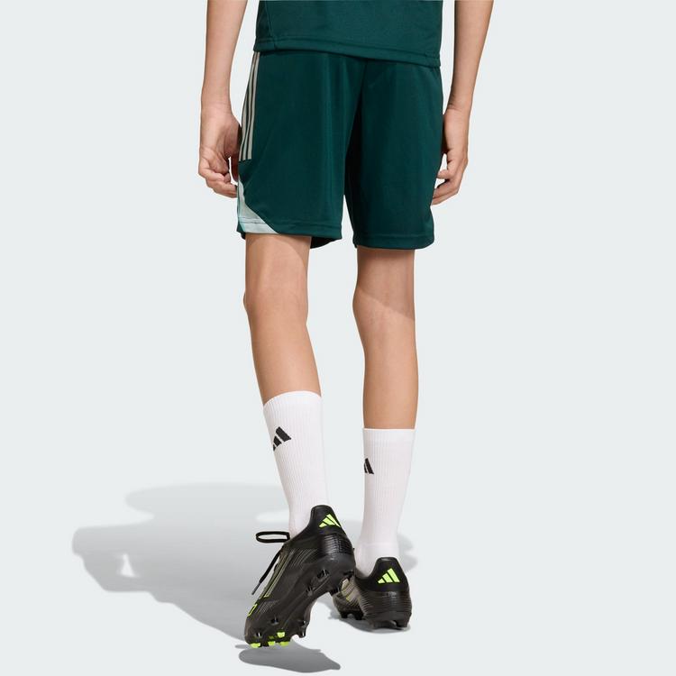 adidas adidas FC Arsenal Tiro 25 Competition Kids Fu&szlig;ballshorts Kinder - Aurora Ivy - 1 | SportScheck