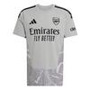 adidas FC Arsenal 26/27 Torwarttrikot Teamtrikot Herren - Grey Two