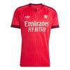 adidas OLYMPIQUE LYON 26/27 AUSW&Auml;RTSTRIKOT Teamtrikot Herren - Active Pink