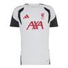 adidas Liverpool FC 26/27 Tiro Trainingstrikot Teamtrikot Herren - Dash Grey