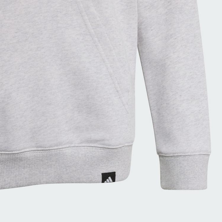 adidas adidas AUDI FORMULA ONE TEAM GABRIEL BORTOLETO Hoodie Kinder - Light Grey Heather - 1 | SportScheck