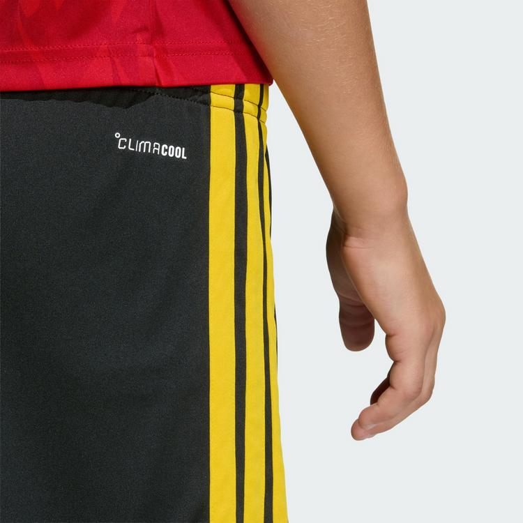 adidas adidas Belgien 26 Kids Heimshorts Fu&szlig;ballshorts Kinder - Black / Bold Gold - 1 | SportScheck