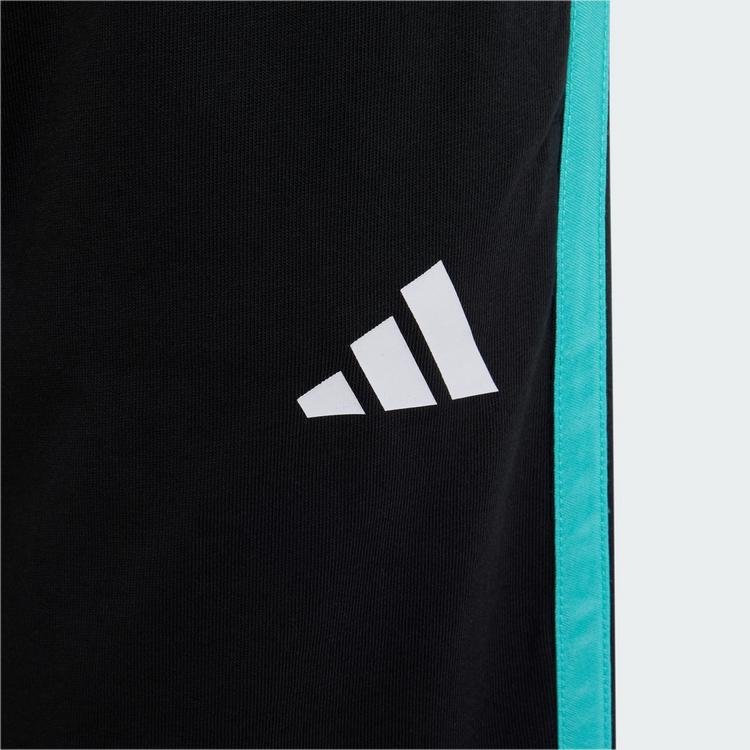 adidas adidas MERCEDES &ndash; AMG PETRONAS FORMEL 1 TEAM Fu&szlig;ballshorts Kinder - Black / Semi Mint Rush - 1 | SportScheck