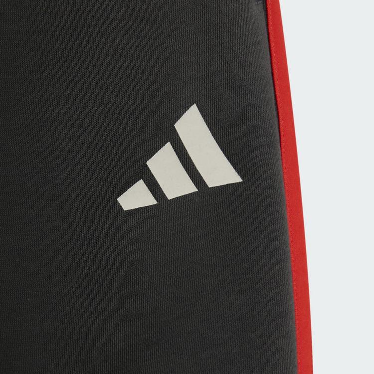adidas adidas AUDI REVOLUT F1 TEAM DNA SHORTS Fu&szlig;ballshorts Kinder - Utility Black - 2 | SportScheck