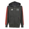 adidas AUDI&nbsp;REVOLUT&nbsp;F1&nbsp;TEAM&nbsp;DNA&nbsp;FULL&nbsp;ZIP&nbsp;HOODIE Fahrradjacke Kinder - Utility Black