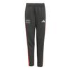 adidas AUDI&nbsp;REVOLUT&nbsp;F1&nbsp;TEAM&nbsp;DNA&nbsp;HOSE Funktionshose Kinder - Utility Black