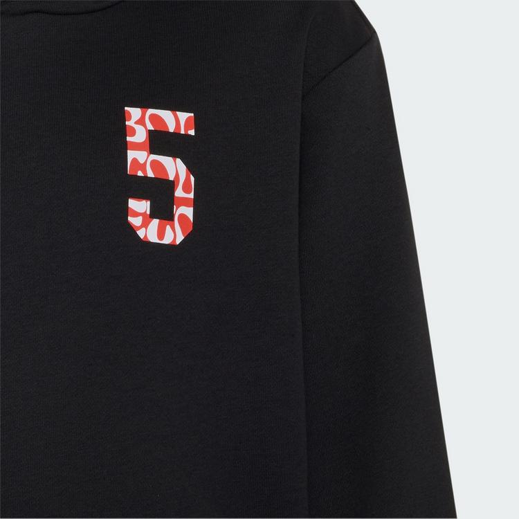 adidas adidas AUDI REVOLUT F1 TEAM GABRIEL BORTOLETO Hoodie Kinder - Black / Hi-Res Red - 1 | SportScheck