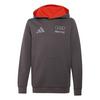 adidas AUDI&nbsp;REVOLUT&nbsp;F1&nbsp;TEAM&nbsp;DRIVER&nbsp;YOUTH&nbsp;HOODIE Hoodie Kinder - Grey Strata