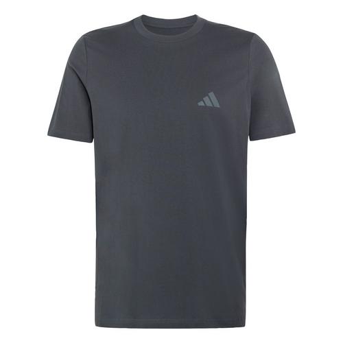 adidas TERREX MOUNTAIN GRAPHIC T-SHIRT Kletterschuhe Herren