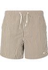 Virtus Cullen Badehose Herren - 5148 Bungee Cord