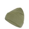 adidas Terrex Xploric M&uuml;tze, Merinowolle Beanie - Tent Green
